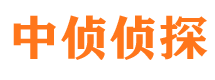 陆河中侦私家侦探公司